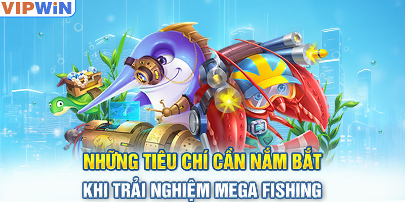 Những tiêu chí cần nắm bắt khi trải nghiệm mega fishing